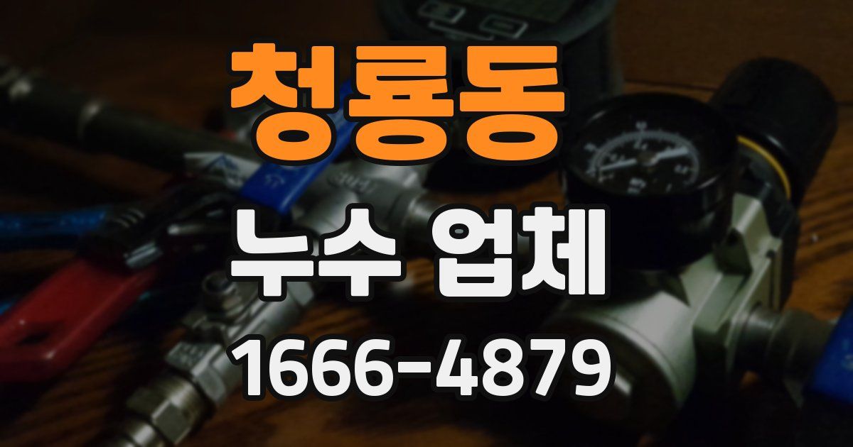 청룡동 누수 업체