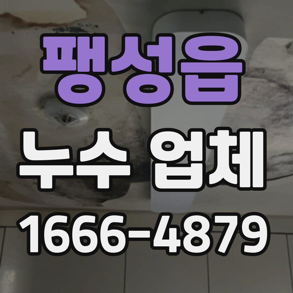 팽성읍 누수 업체