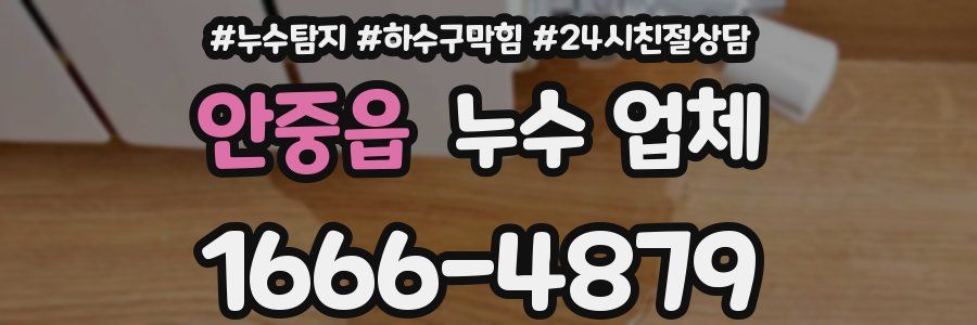 안중읍 누수 업체