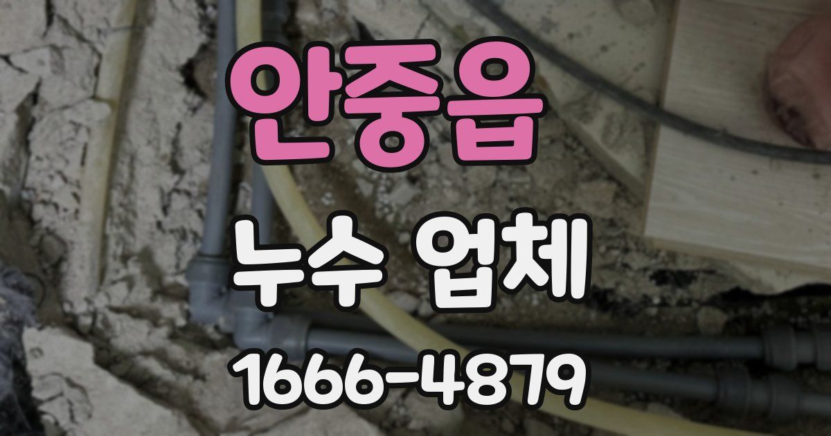안중읍 누수 업체
