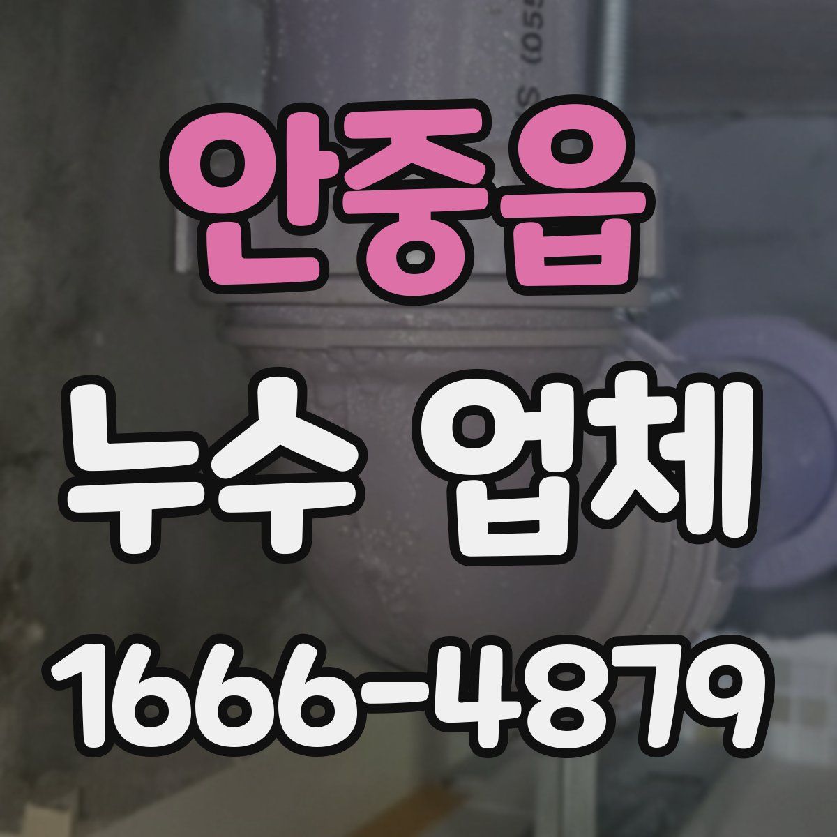안중읍 누수 업체