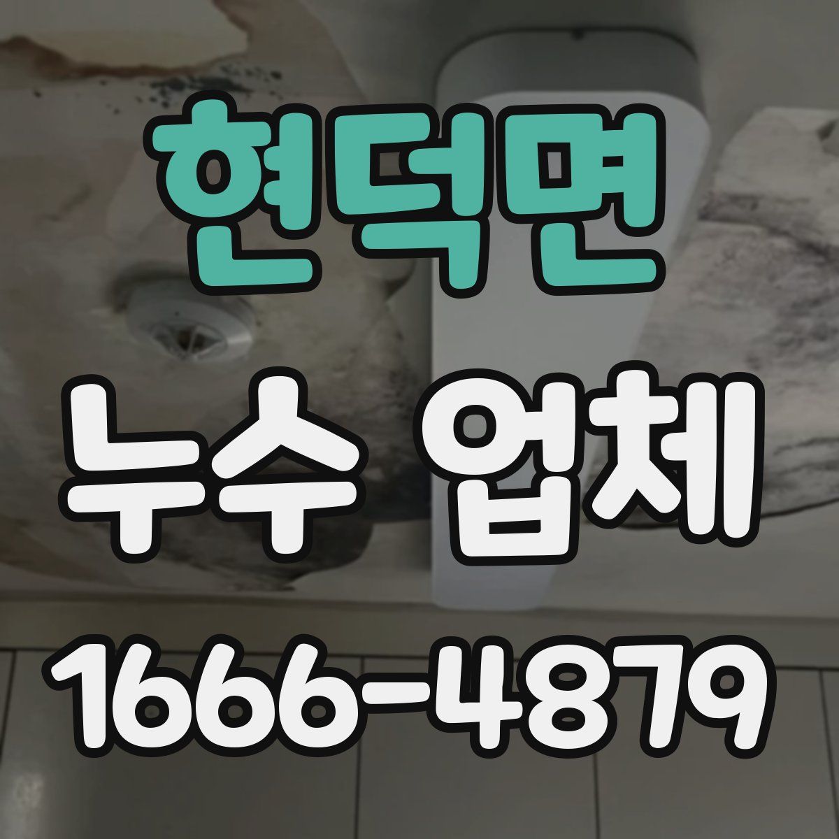 현덕면 누수 업체