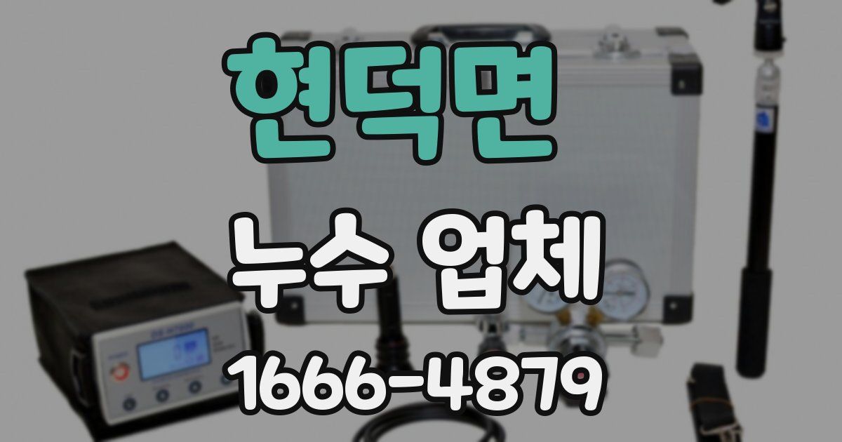 현덕면 누수 업체