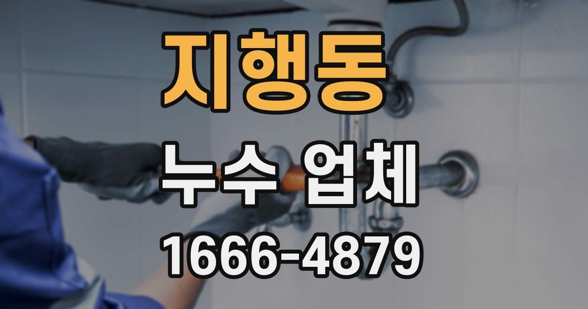 지행동 누수 업체