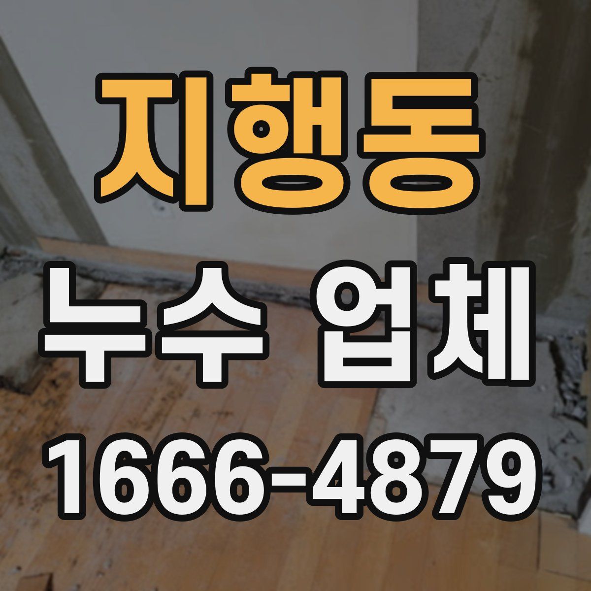 지행동 누수 업체