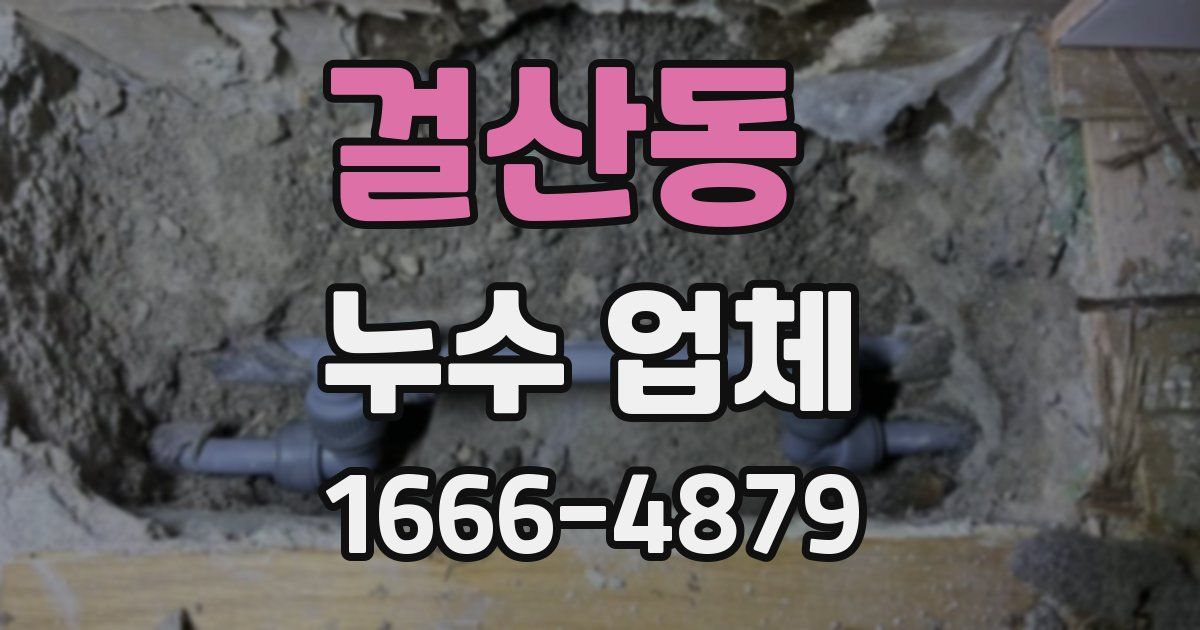 걸산동 누수 업체