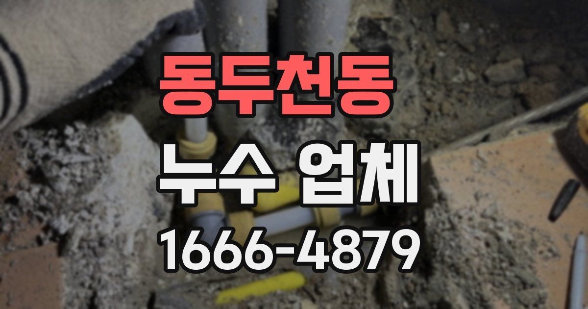동두천동 누수 업체