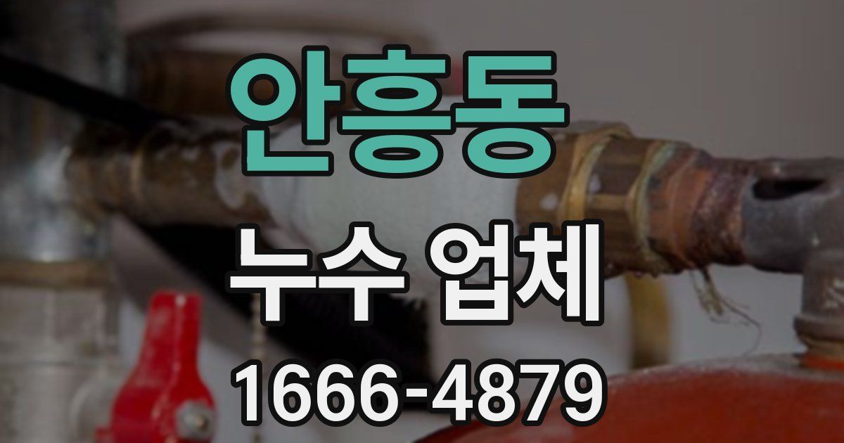 안흥동 누수 업체
