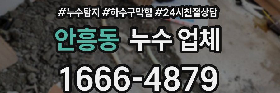 안흥동 누수 업체