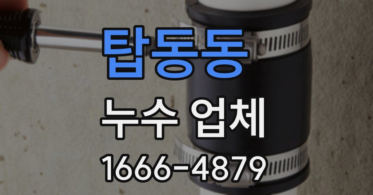 탑동동 누수 업체