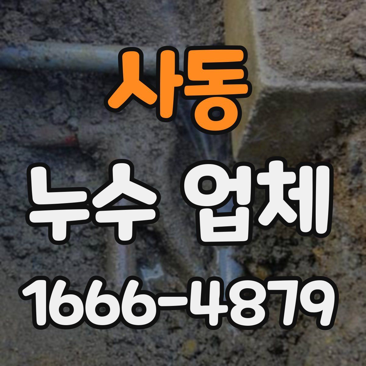 사동 누수 업체