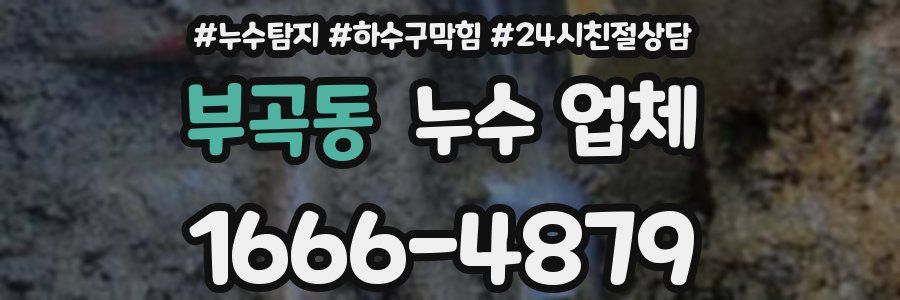 부곡동 누수 업체