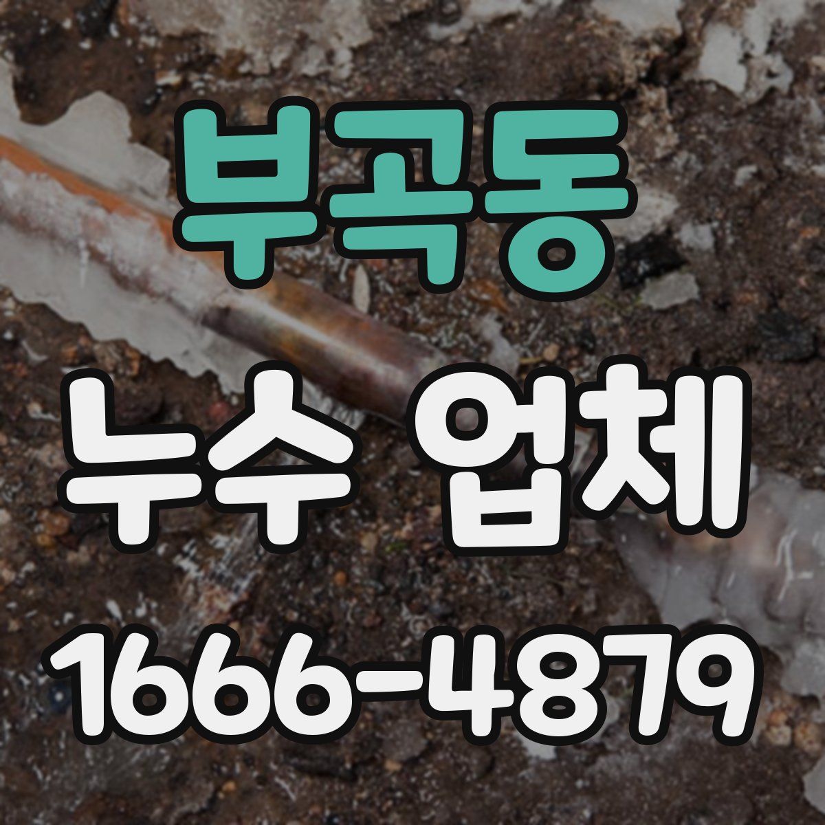 부곡동 누수 업체