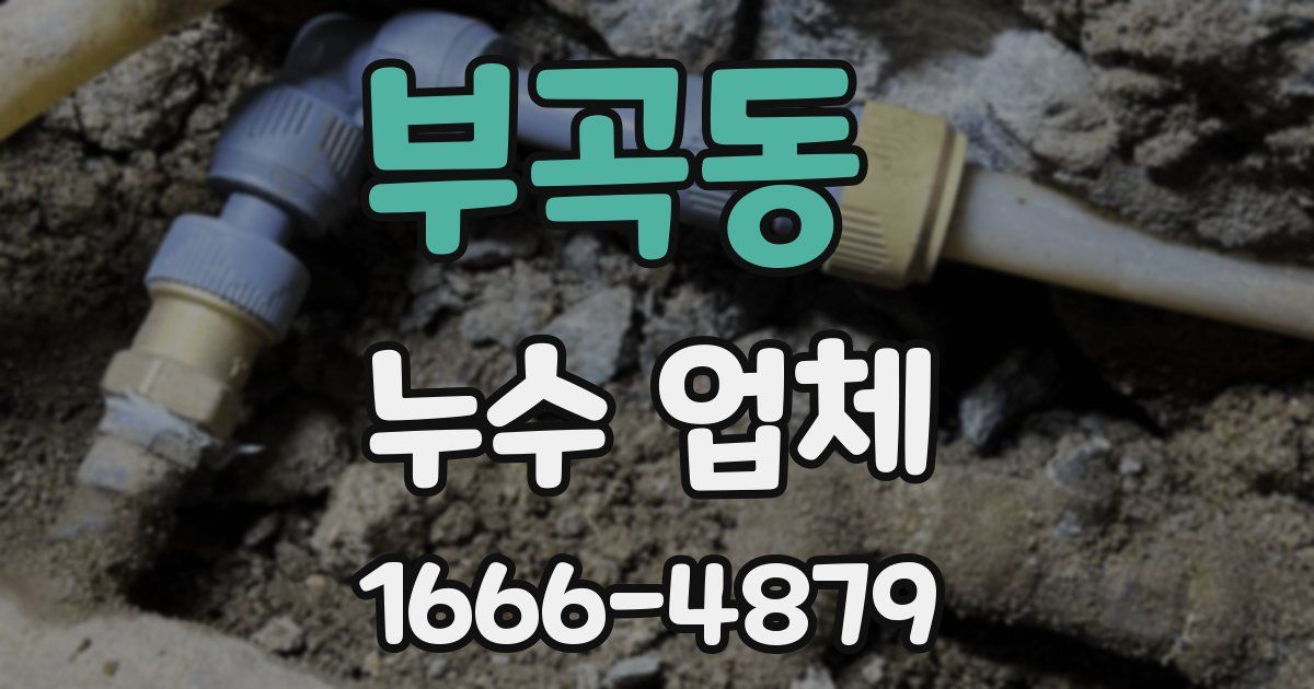 부곡동 누수 업체