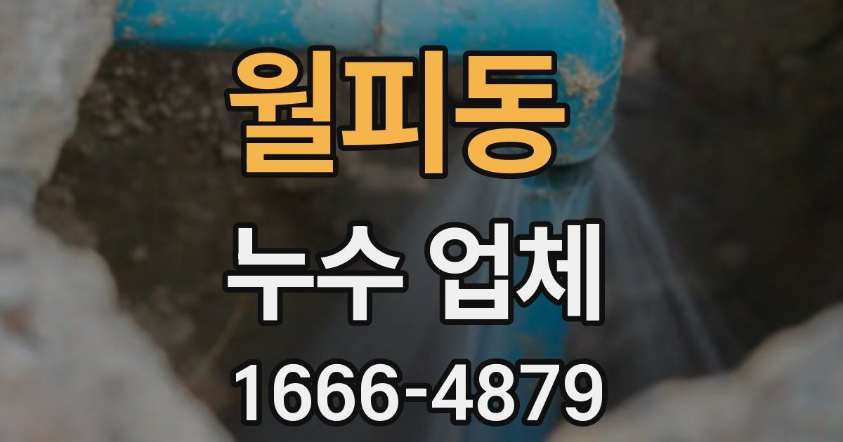 월피동 누수 업체