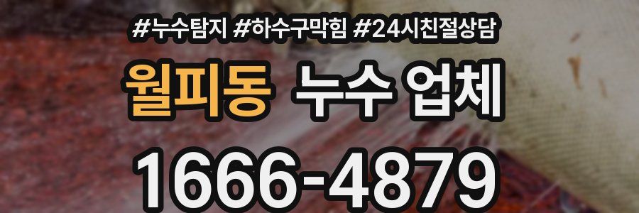 월피동 누수 업체