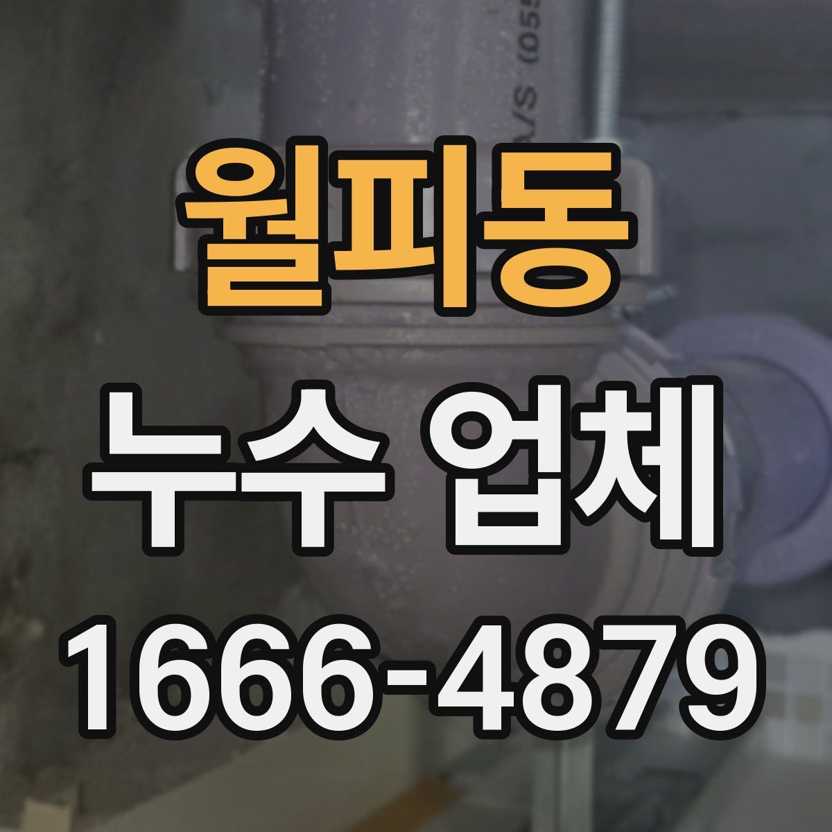 월피동 누수 업체
