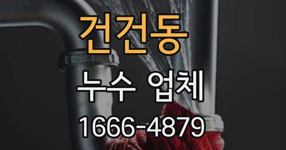 건건동 누수 업체