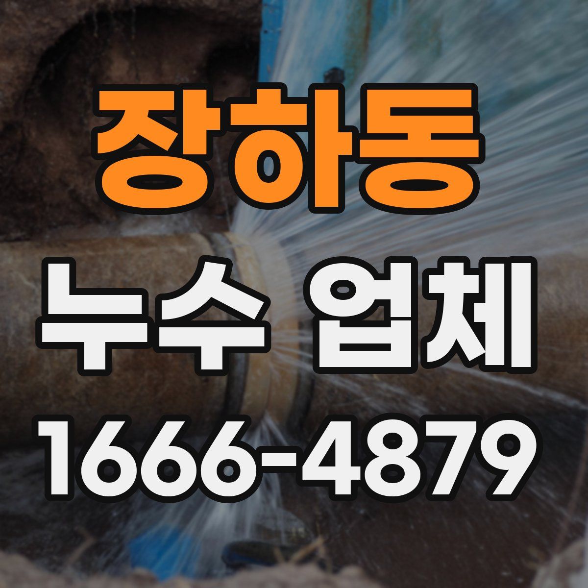 장하동 누수 업체