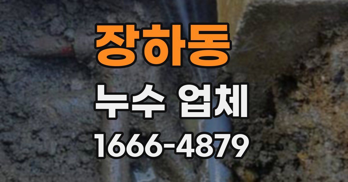 장하동 누수 업체