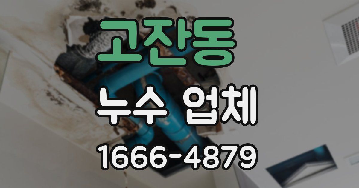 고잔동 누수 업체