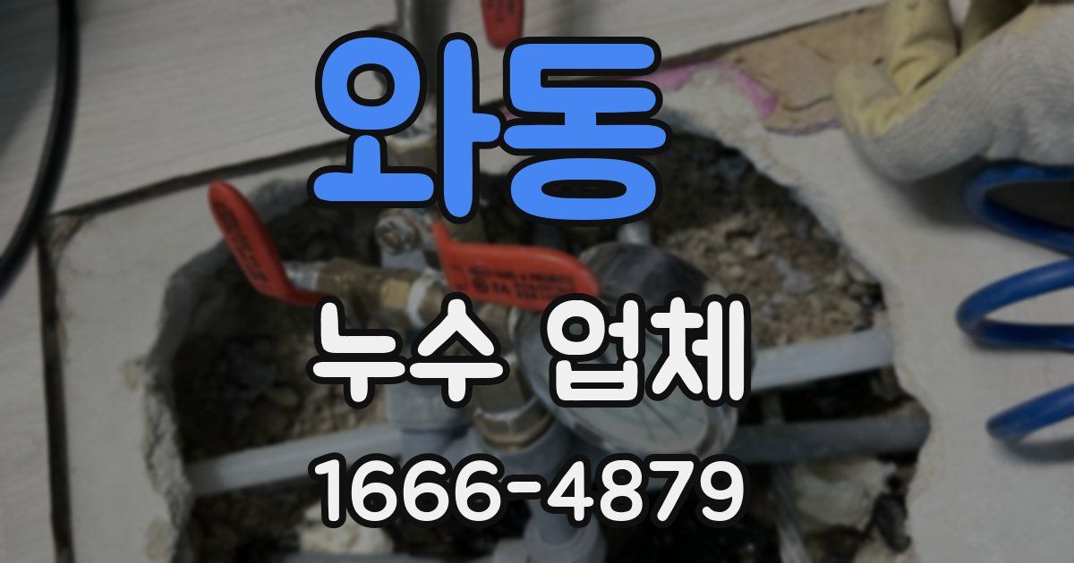와동 누수 업체