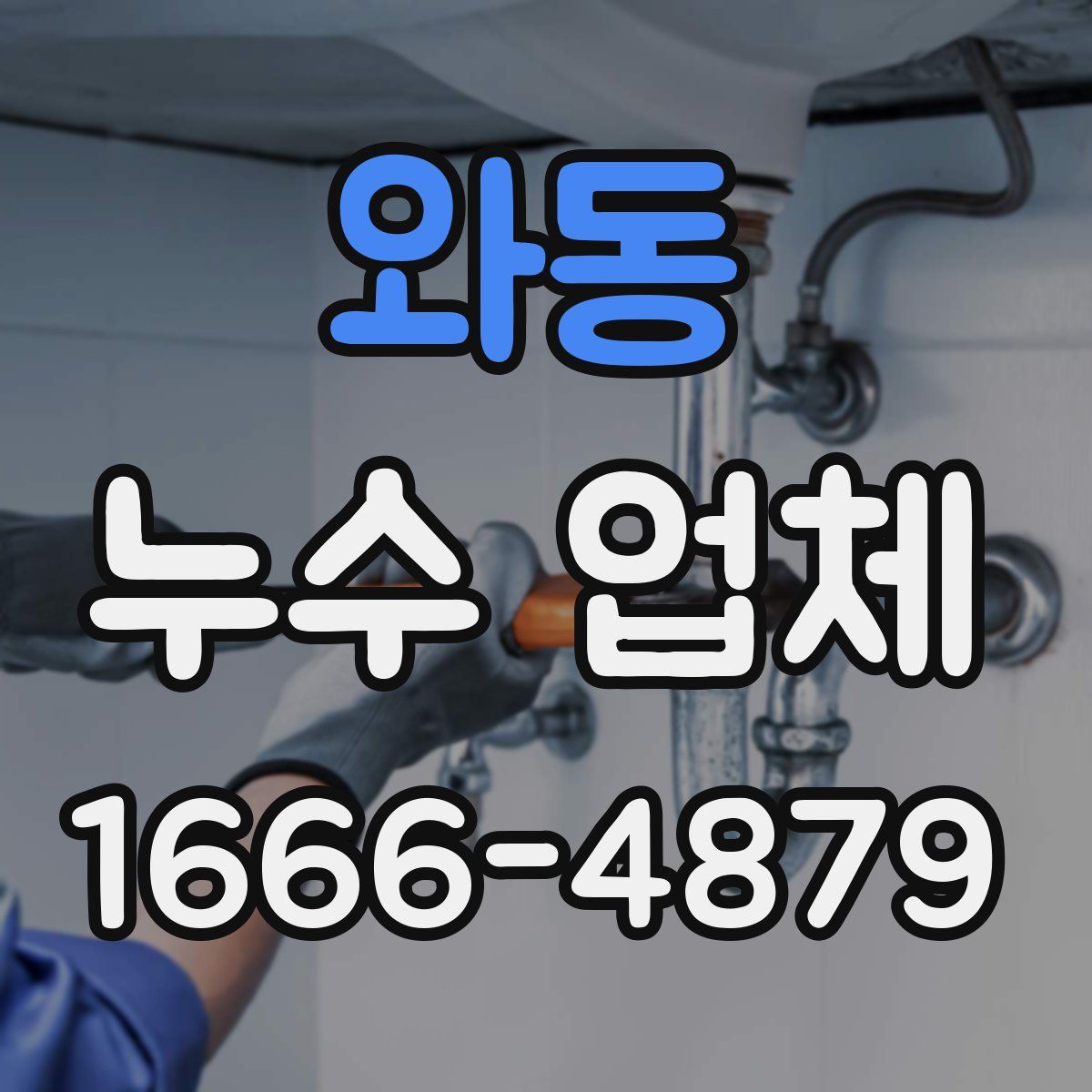 와동 누수 업체