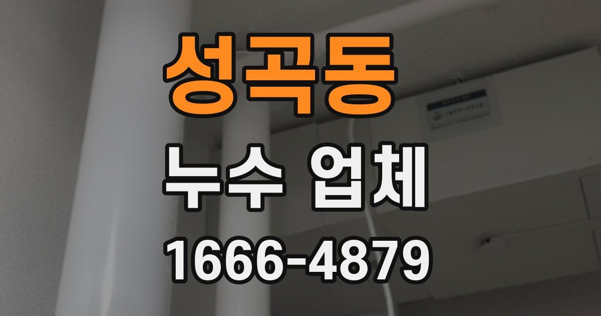 성곡동 누수 업체