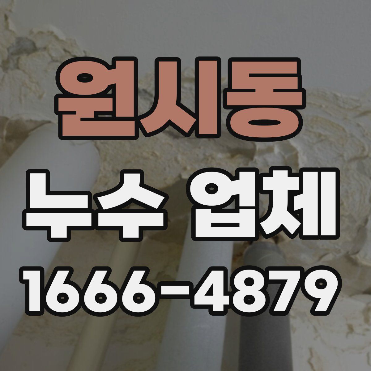 원시동 누수 업체