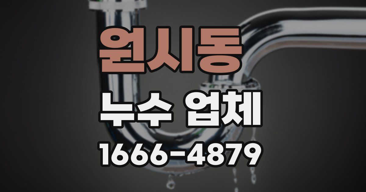 원시동 누수 업체