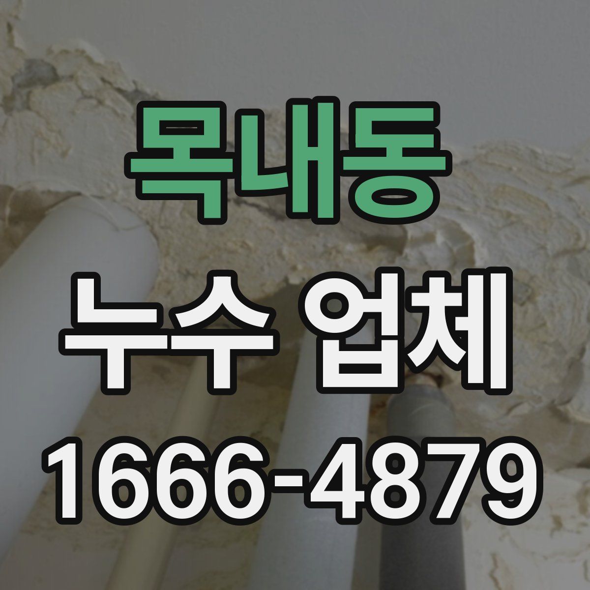 목내동 누수 업체