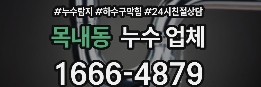목내동 누수 업체