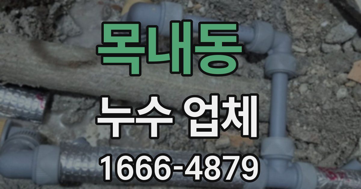 목내동 누수 업체