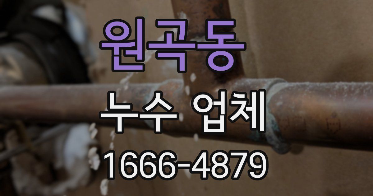 원곡동 누수 업체