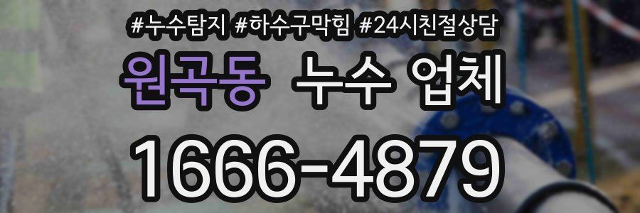 원곡동 누수 업체