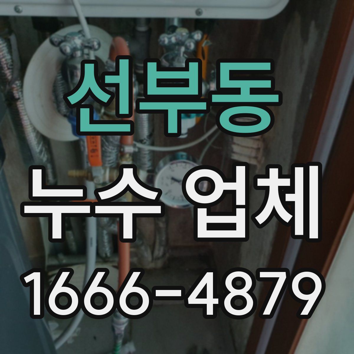 선부동 누수 업체
