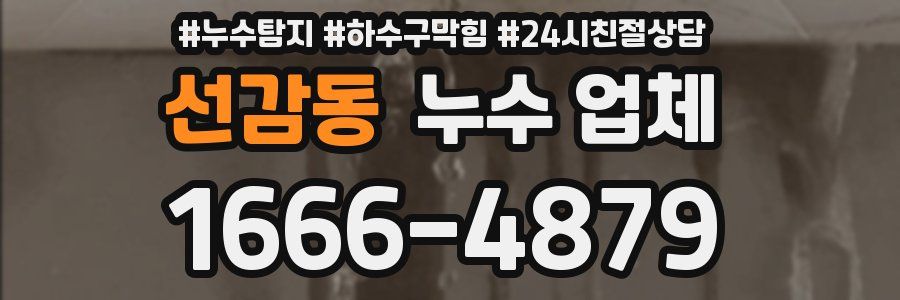 선감동 누수 업체