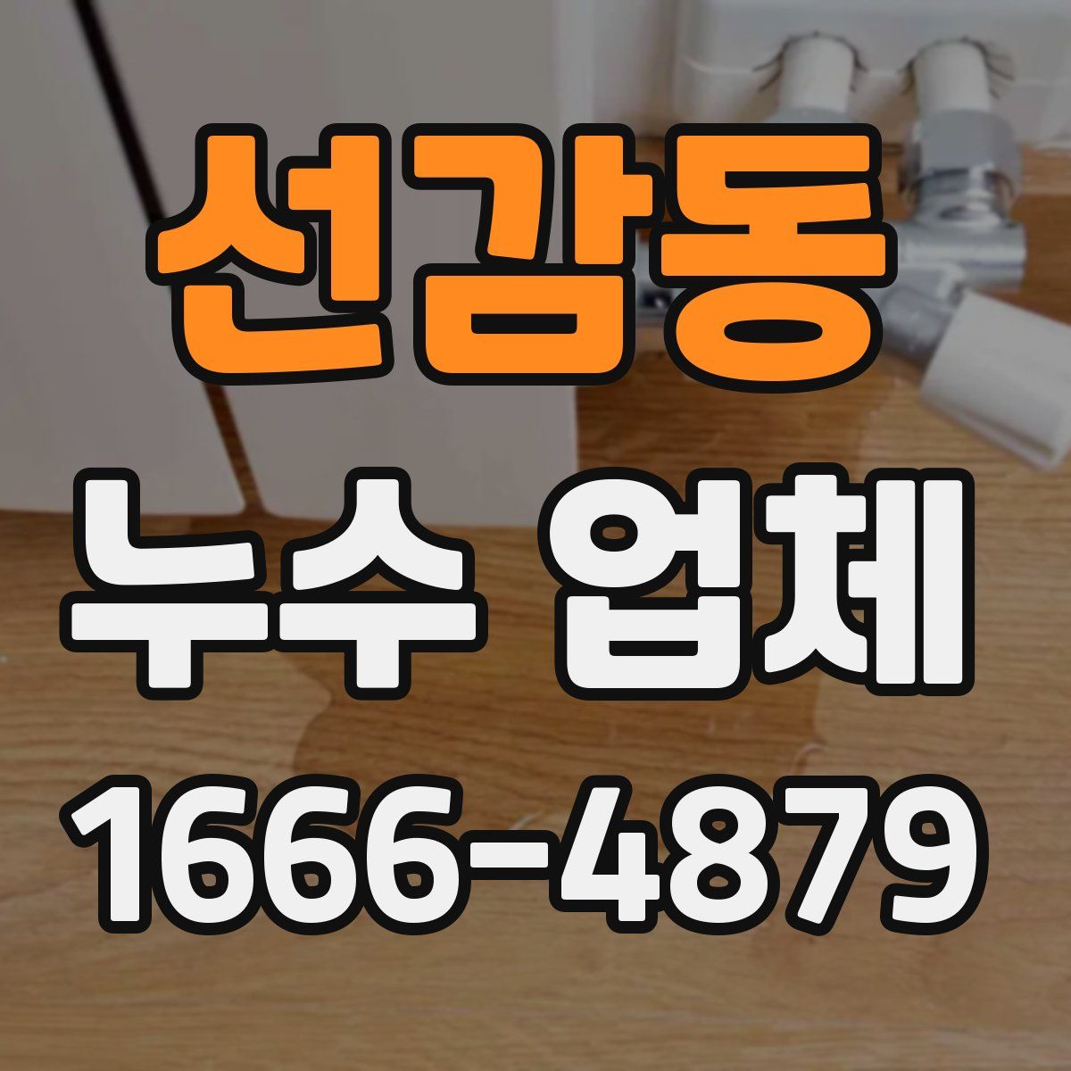 선감동 누수 업체