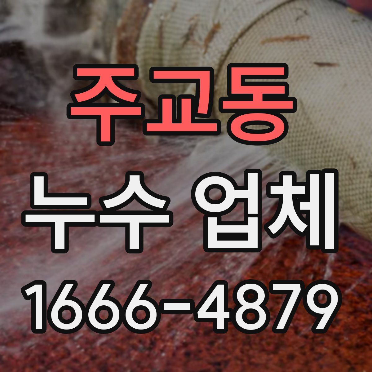 주교동 누수 업체