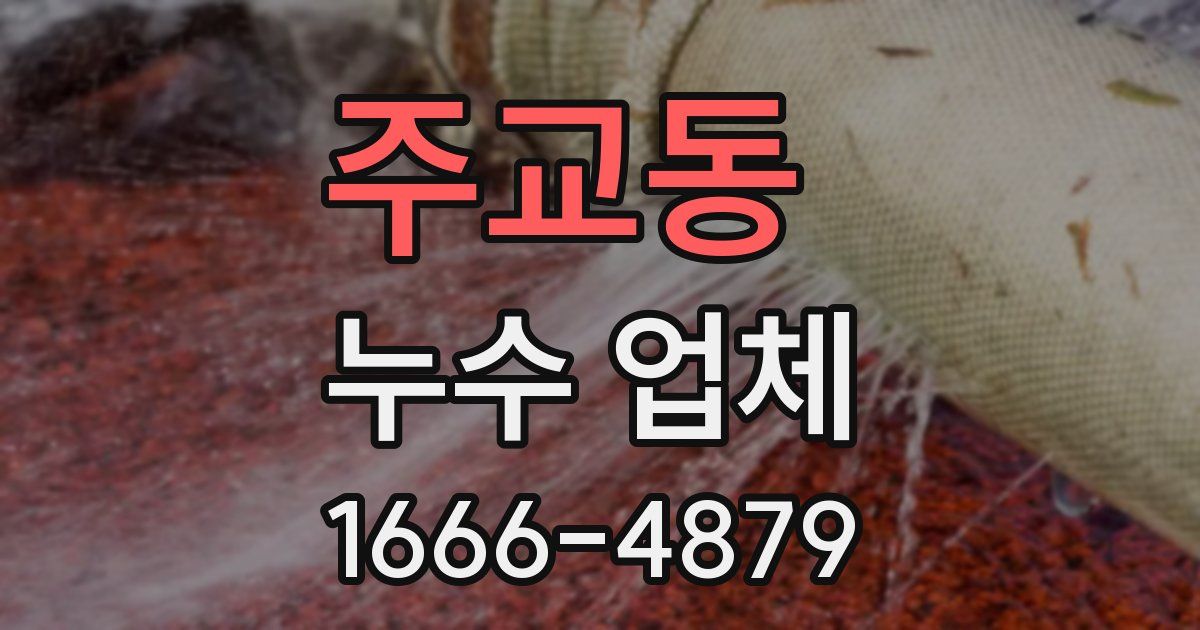 주교동 누수 업체