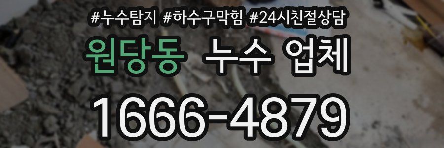 원당동 누수 업체