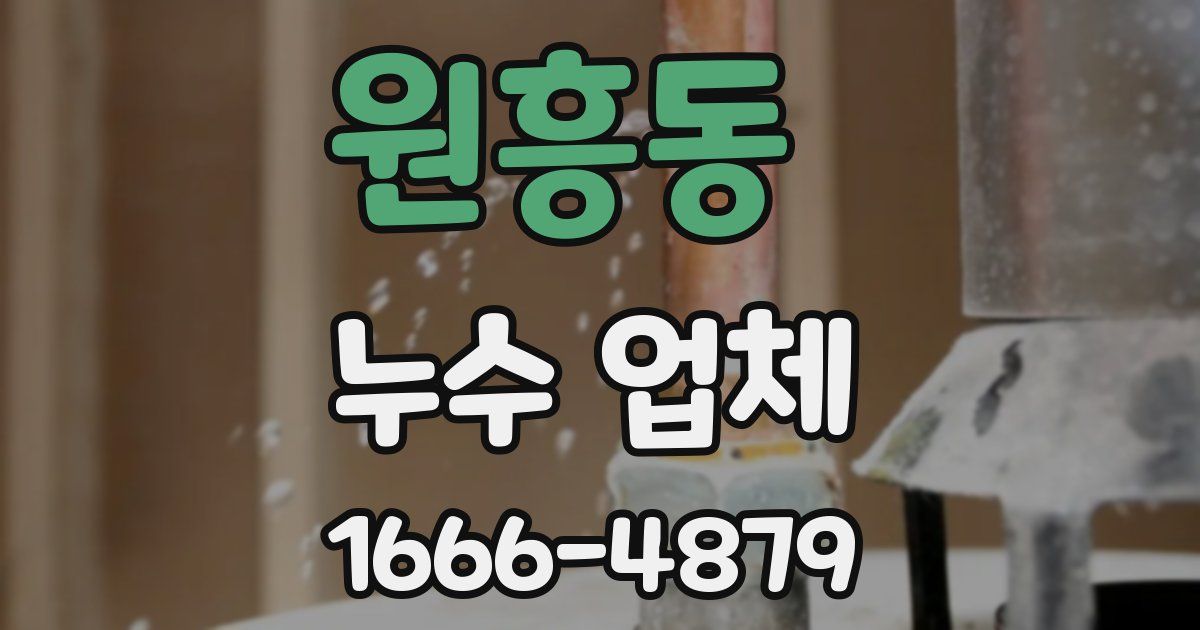 원흥동 누수 업체
