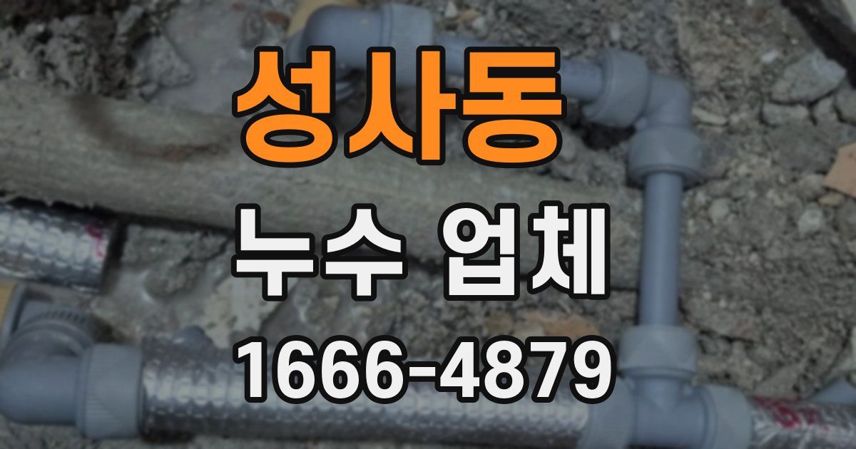 성사동 누수 업체