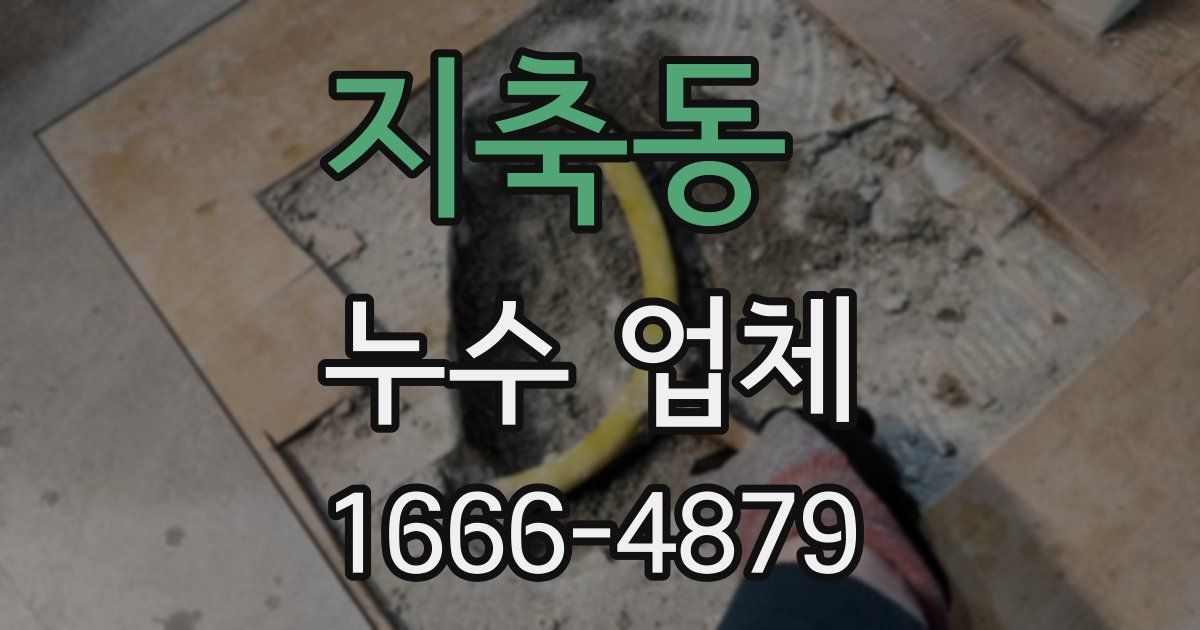 지축동 누수 업체