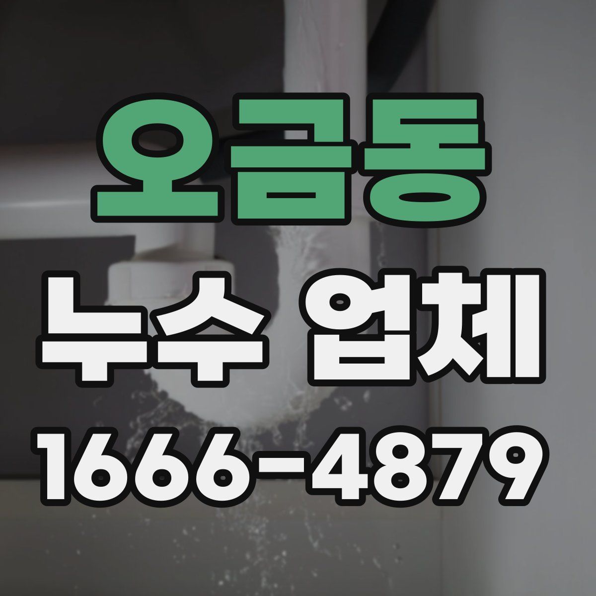 오금동 누수 업체