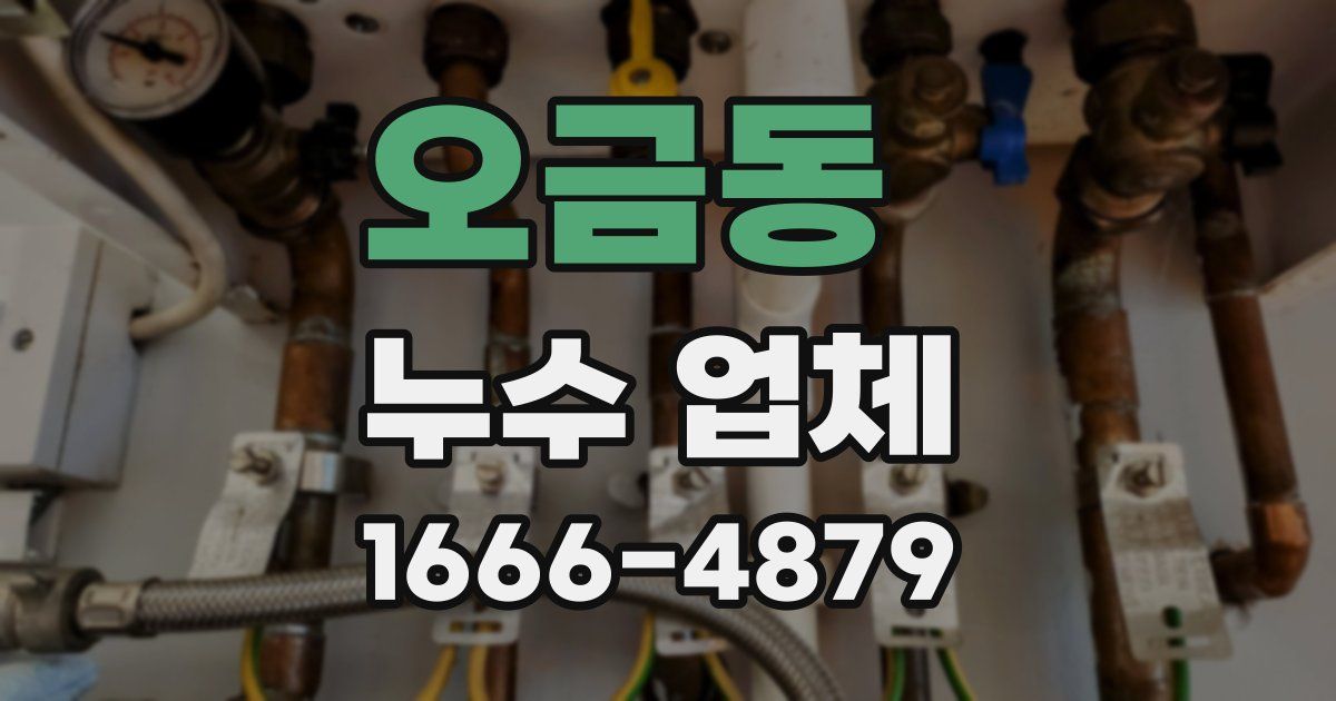오금동 누수 업체
