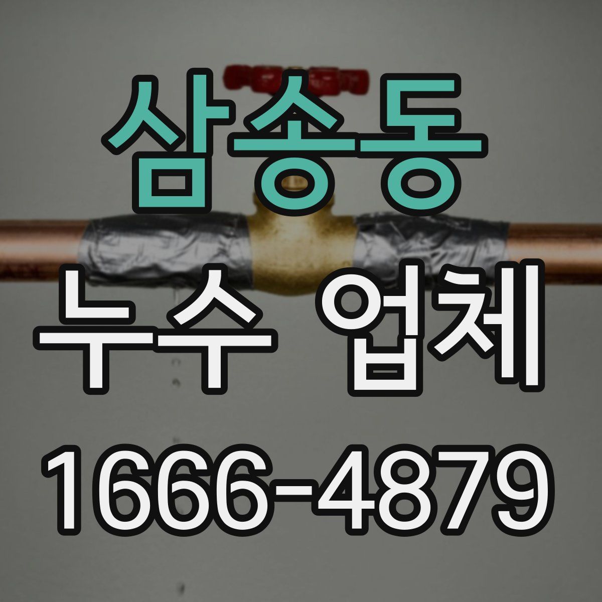 삼송동 누수 업체