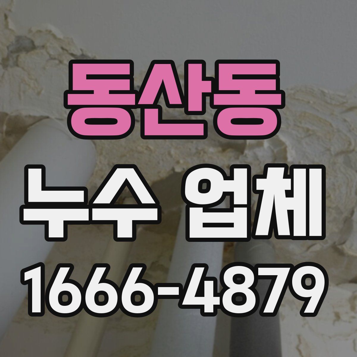 동산동 누수 업체