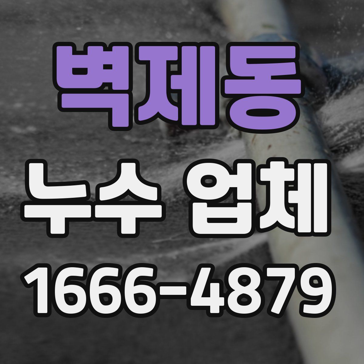 벽제동 누수 업체