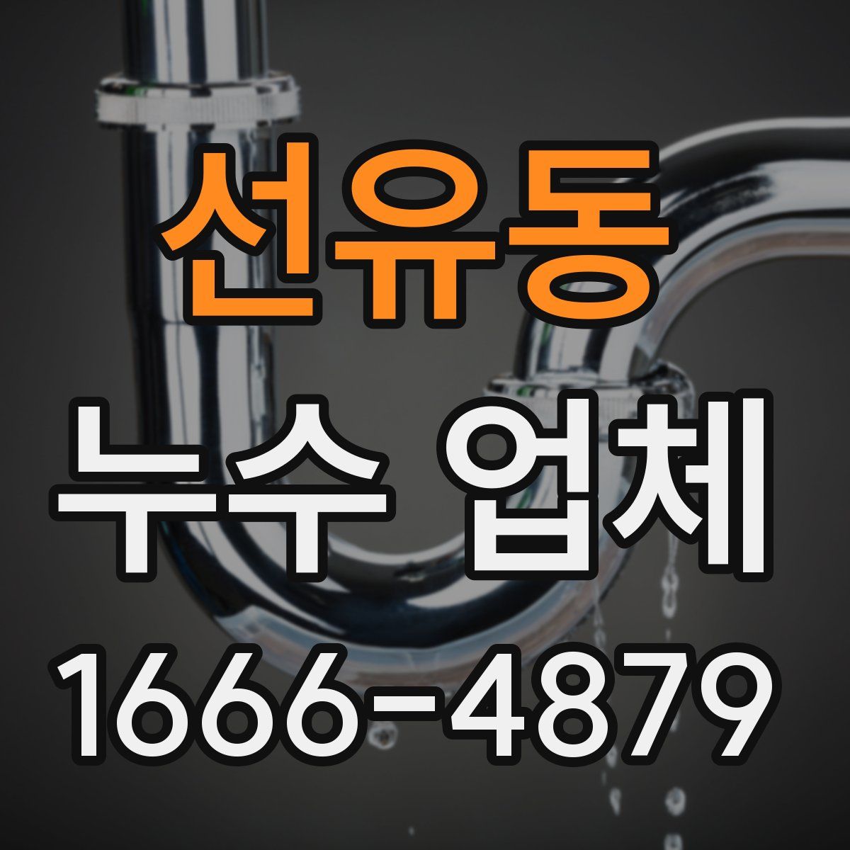 선유동 누수 업체